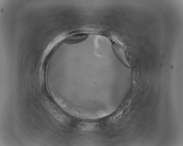 X0000080760343200701021102