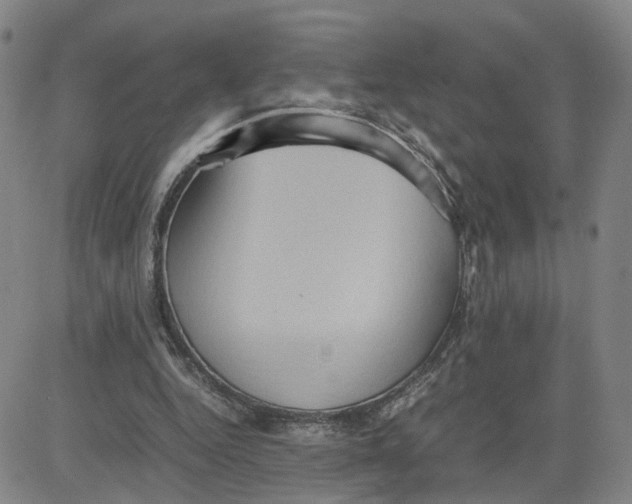 X0000080760344200701021102