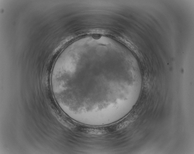 X0000080760347200701021102