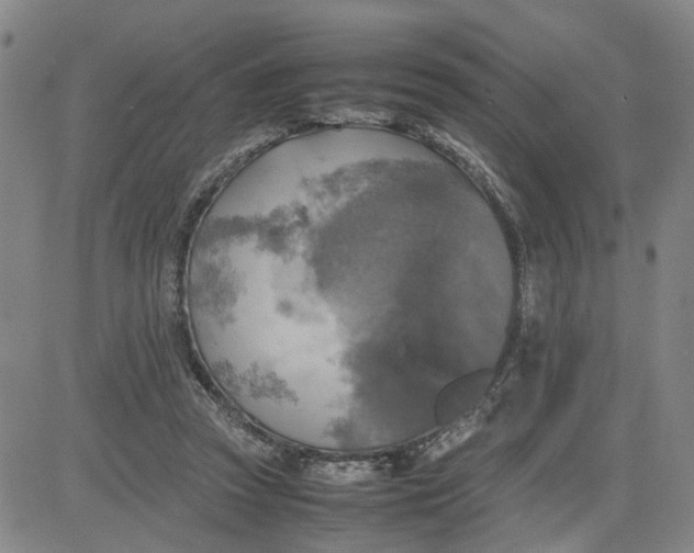 X0000080760353200701021102