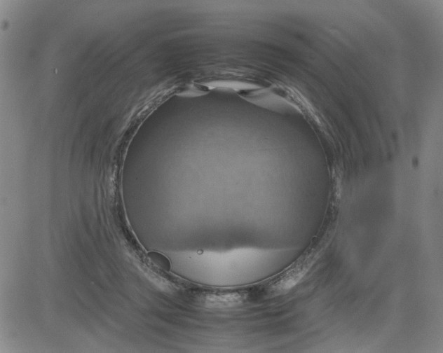 X0000080760357200701021102