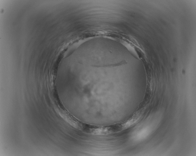 X0000080760366200701021102