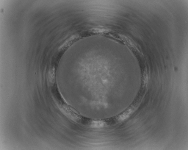 X0000080760376200701021102