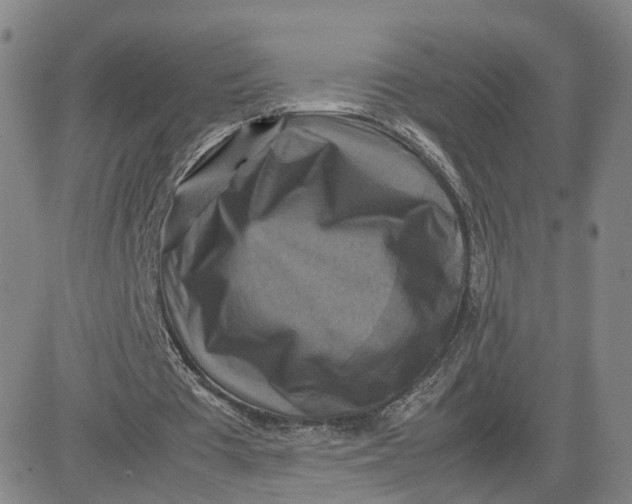 X0000080760385200701021101