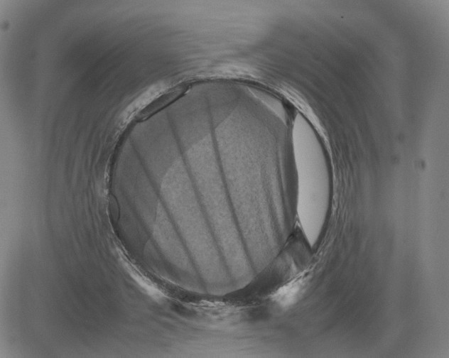 X0000080760389200701021101