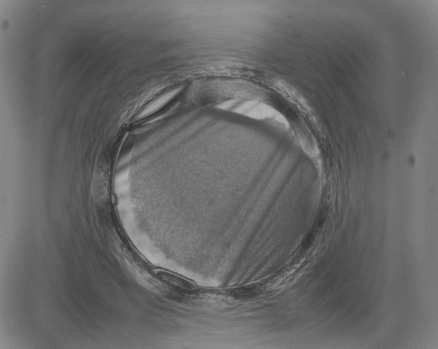 X0000080760393200701021101