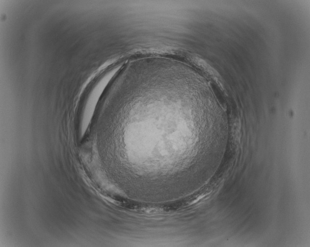 X0000080760395200701021101