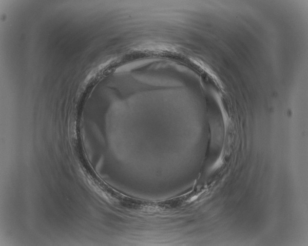 X0000080760399200701021101