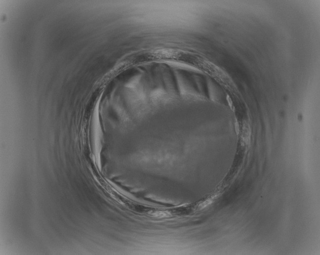 X0000080760409200701021101