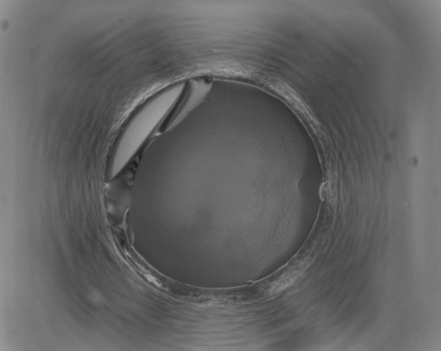 X0000080760434200701021100