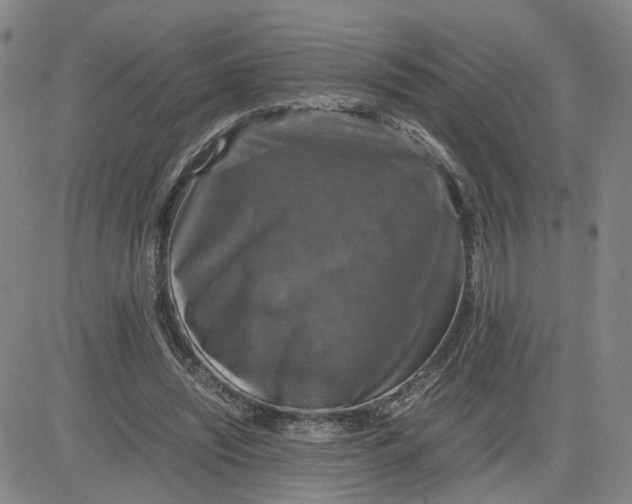 X0000080760444200701021100