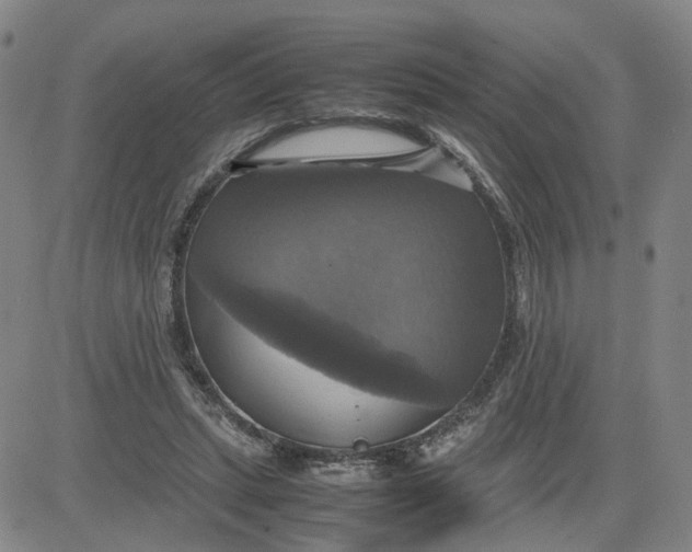 X0000080760447200701021100