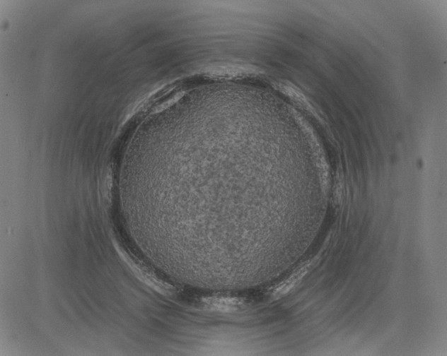 X0000080760448200701021100