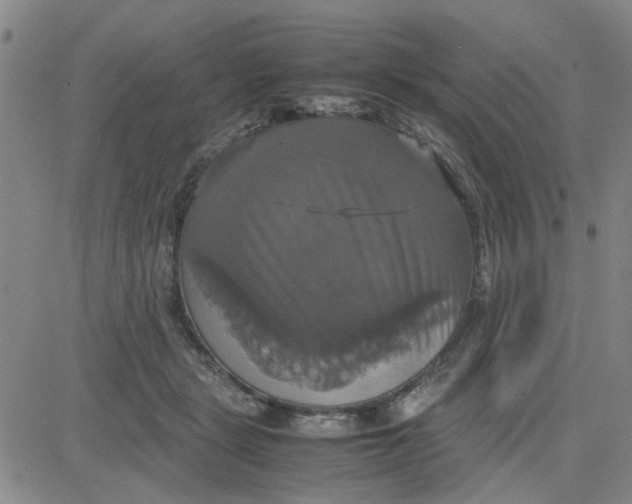 X0000080760461200701021100
