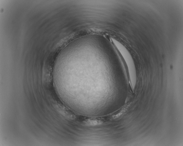 X0000080760464200701021100