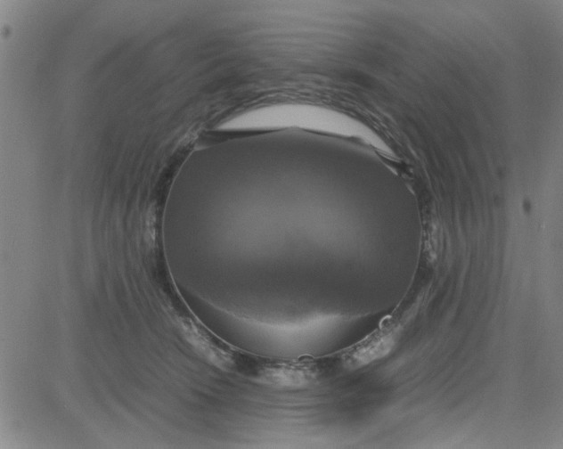 X0000080760466200701021100