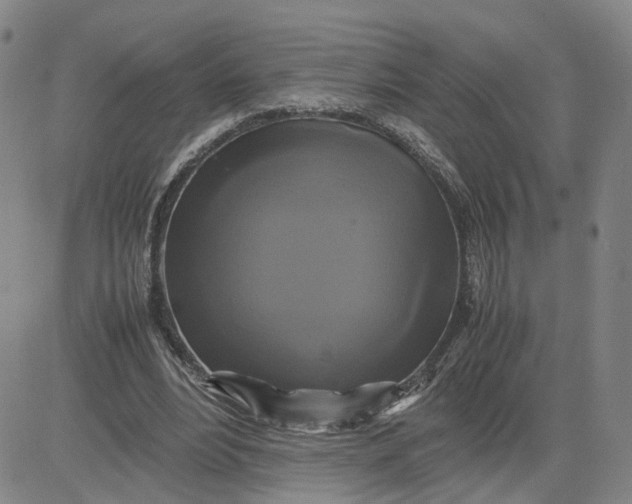 X0000080760488200701021100