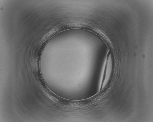 X0000080760489200701021100
