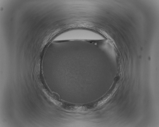 X0000080760493200701021100