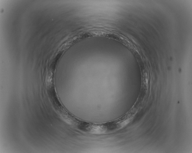 X0000080760507200701021059