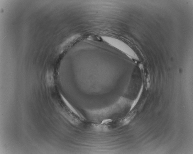 X0000080760520200701021059