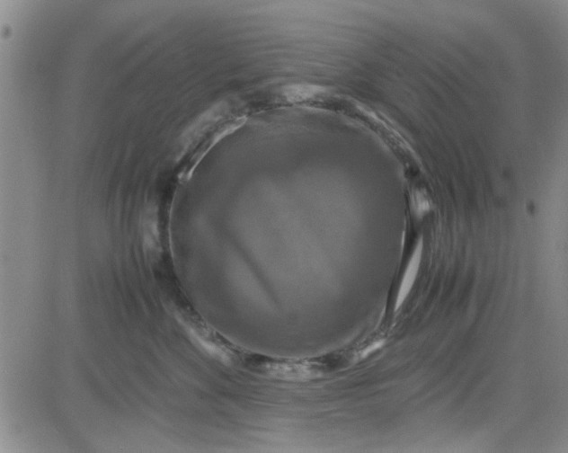 X0000080760524200701021059