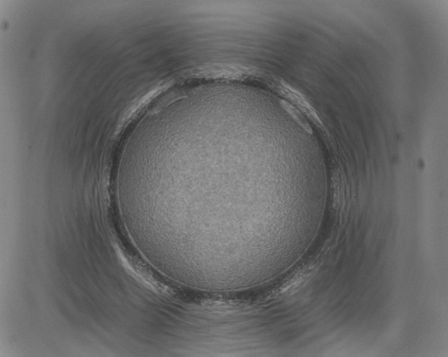 X0000080760538200701021058