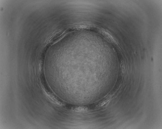 X0000080760546200701021059