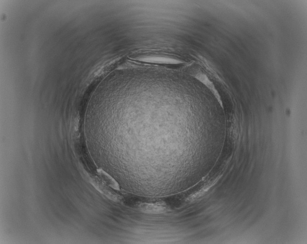 X0000080760548200701021059