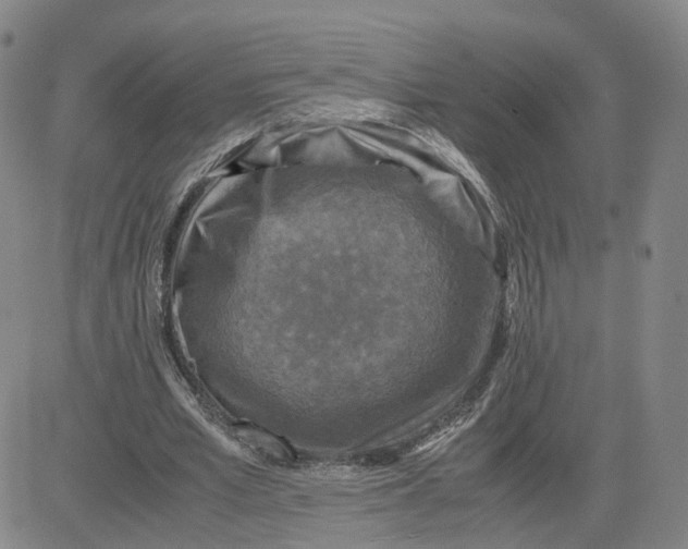 X0000080760581200701021058