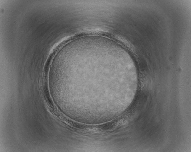 X0000080760583200701021058