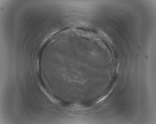 X0000080760589200701021058