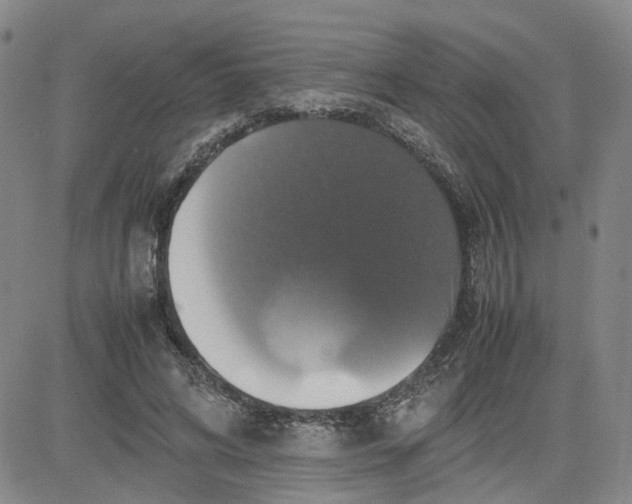 X0000080760592200701021058