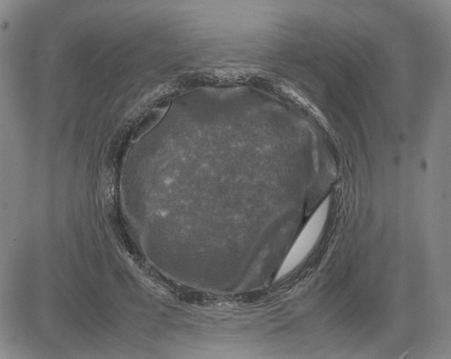 X0000080760593200701021058