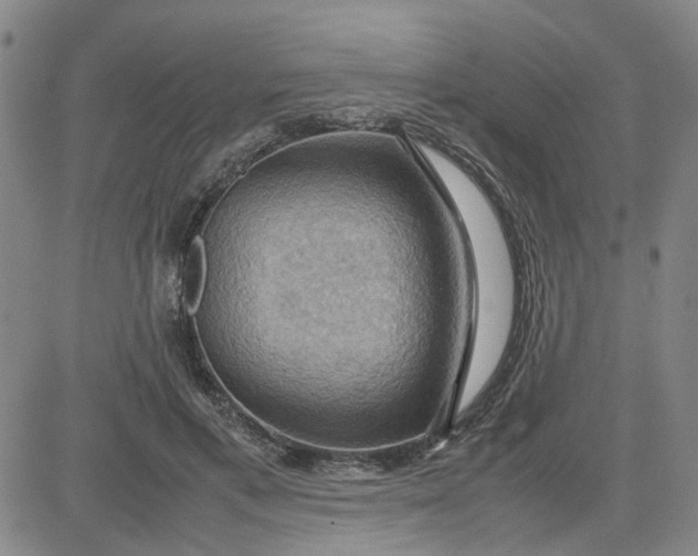 X0000080760597200701021058