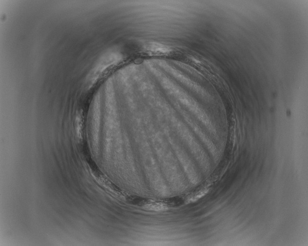 X0000080760604200701021058