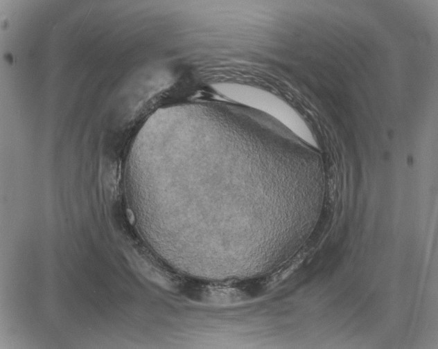 X0000080760605200701021058