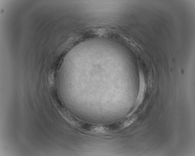 X0000080760611200701021058