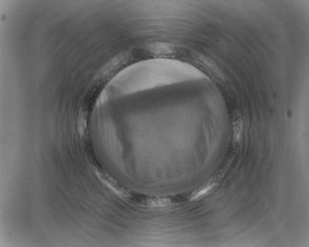 X0000080760618200701021058