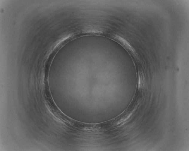 X0000080760627200701021057