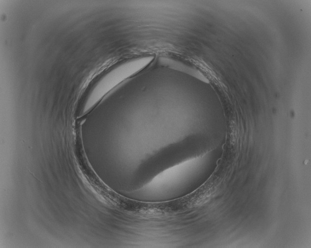X0000080760634200701021057