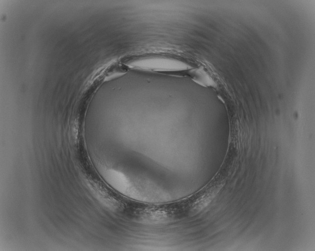 X0000080760640200701021057