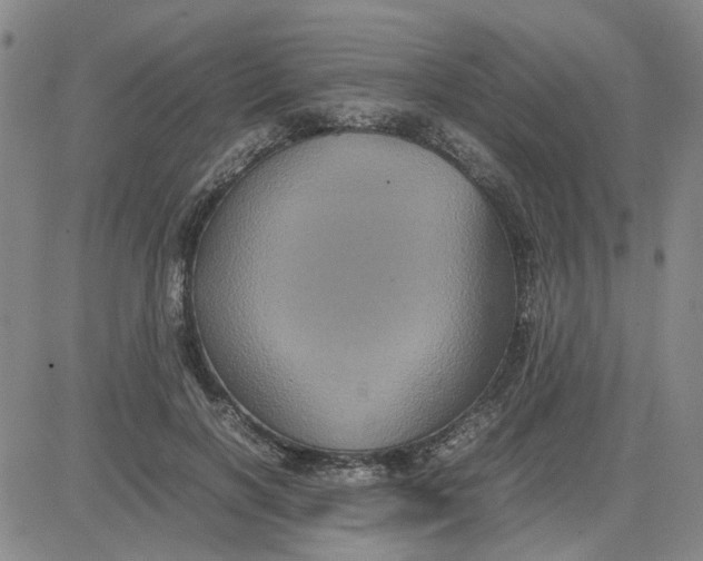X0000080760646200701021057