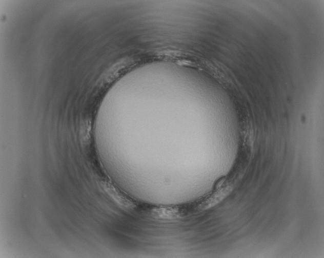 X0000080760660200701021057
