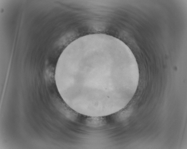 X0000080760672200701021058