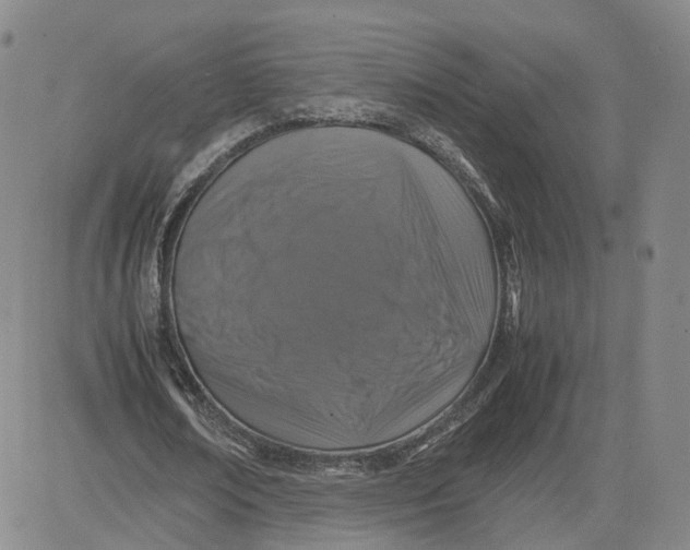X0000080760674200701021057