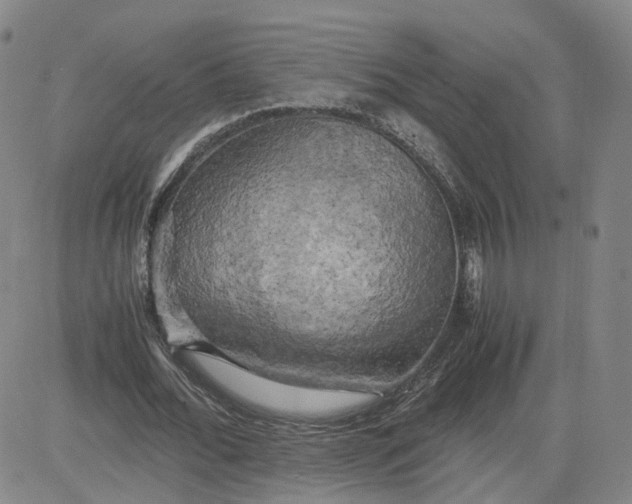 X0000080760676200701021057