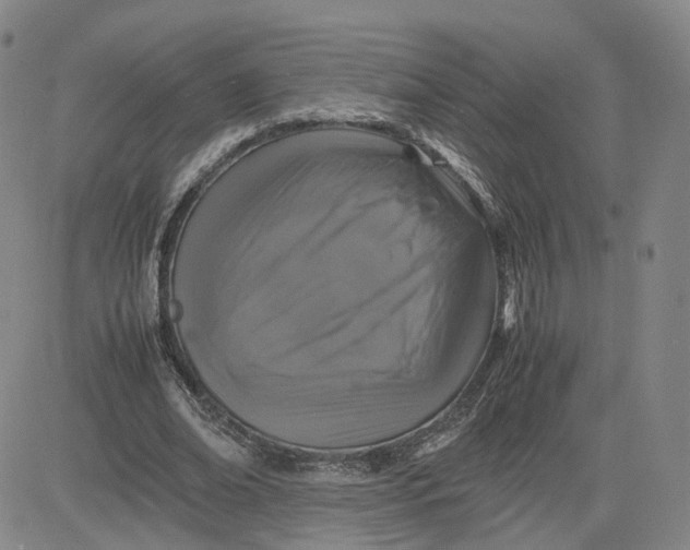 X0000080760678200701021057