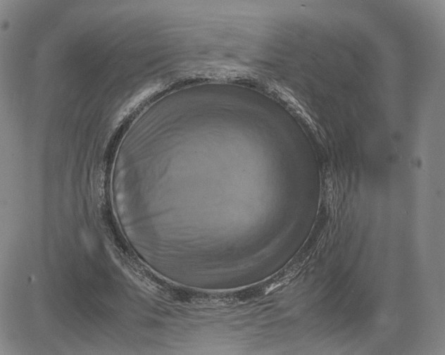 X0000080760679200701021057