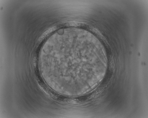 X0000080760683200701021057